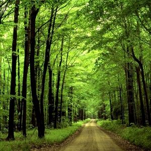 Meet your Posher, Young